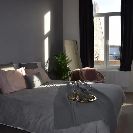 La Petite Maison 아파트 헨트